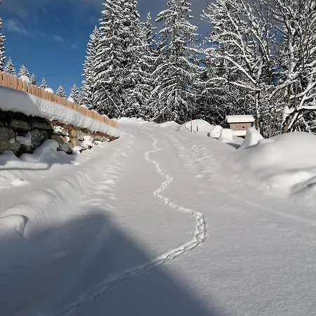 Apartment Stegerhof Premium App Reiteralm *